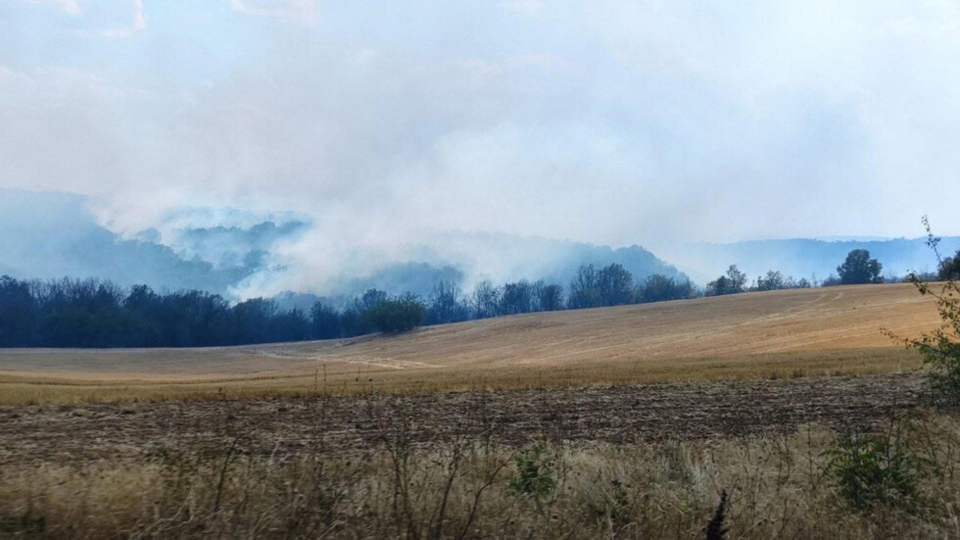 Движението по магистрала Марица в участъка Харманли Любимец е