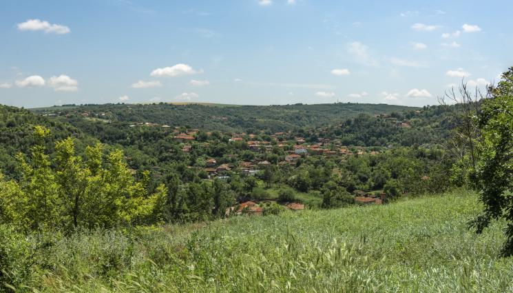 нива - Близо 2 бона за декар достигна средната цена на сделките с ниви във Варненско!