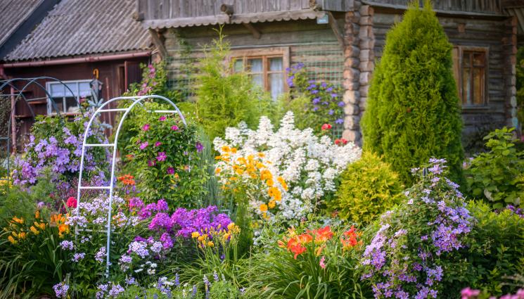 градина - ПРАКТИЧНИ СЪВЕТИ: Препикаваме храстите за тяхно здраве