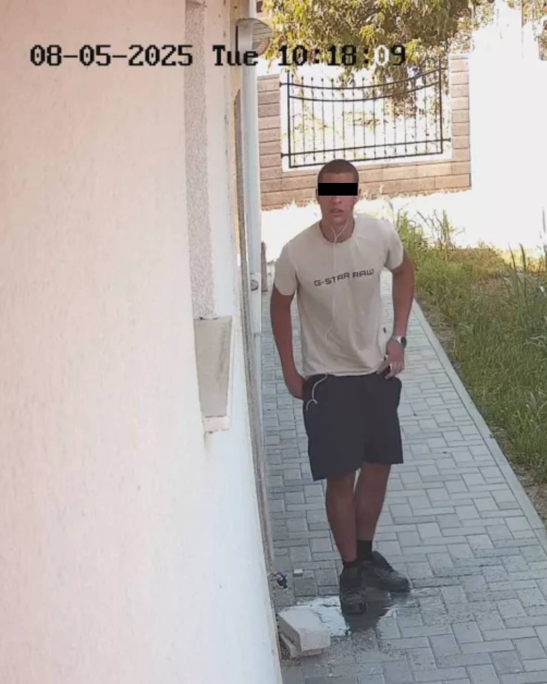 дрисльо Пловдив