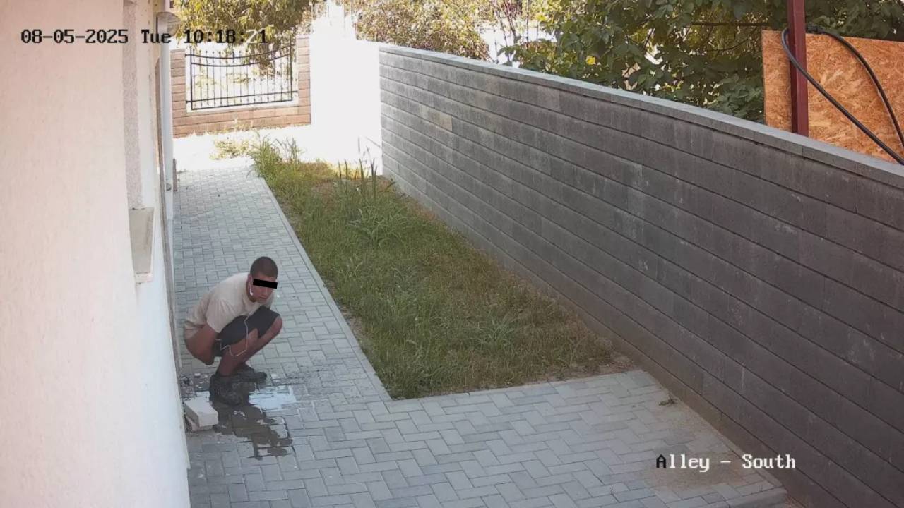 дрисльо Пловдив