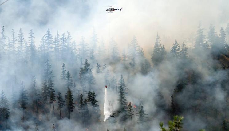 d - ОГНЕНИЯТ АПОКАЛИПСИС: 3500 пожара горяха в България само през юли!