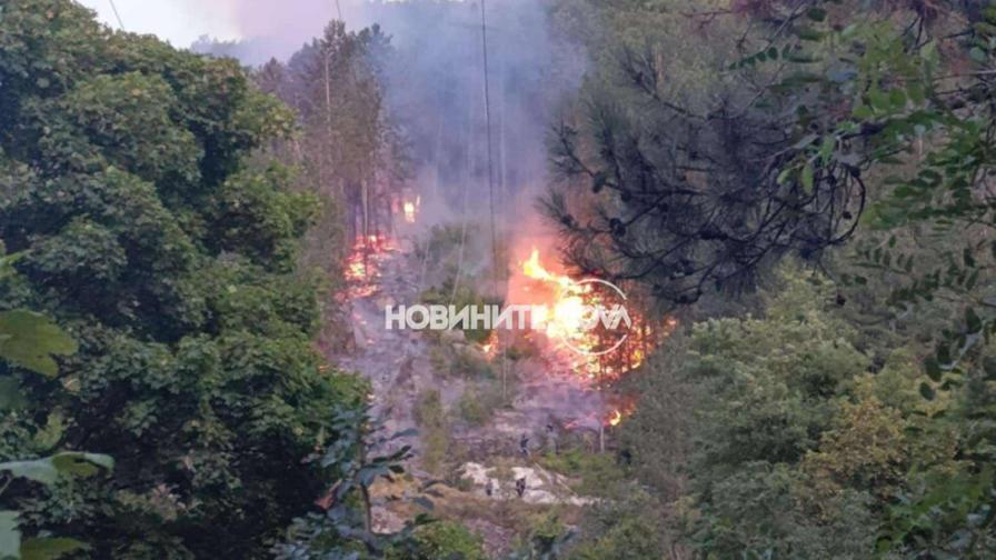 Огън в гората на Шуменското плато