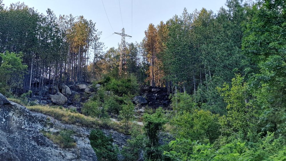пожар Шуменско плато