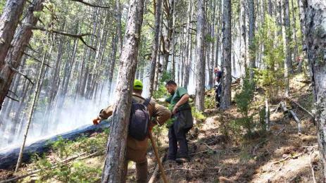 пожар пирин