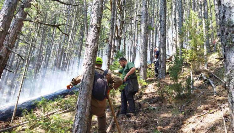 пожар пирин - Спряха големия пожар в Пирин след 14 дни борба по земя и въздух с огъня!