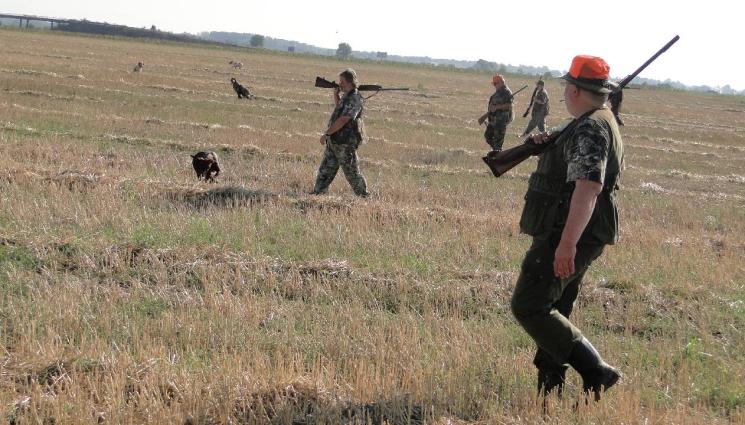 d - НАСЛУКА! Откриват сезона за пъдпъдъци, гургулици и гривяк