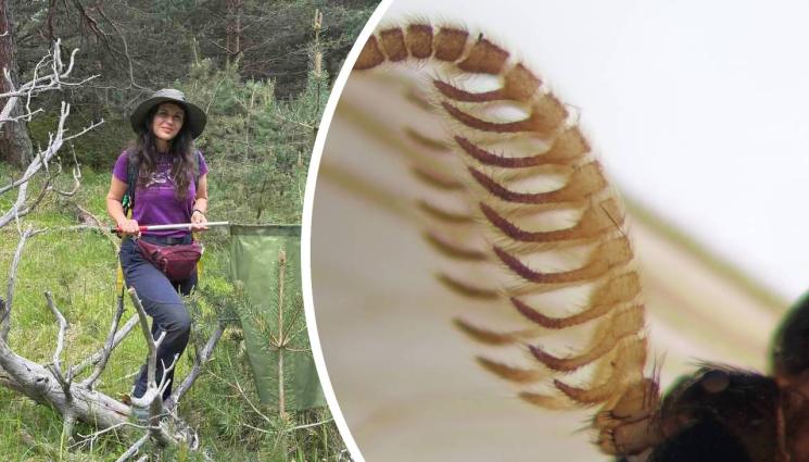 Светлозара Казанджиева - В ДЖУНГЛАТА НА ВИЕТНАМ: Българи откриха нов вид комар