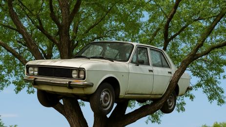 кола върху дърво