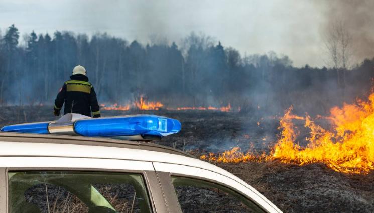 d - Арестуваха престъпник за умишлени пожари