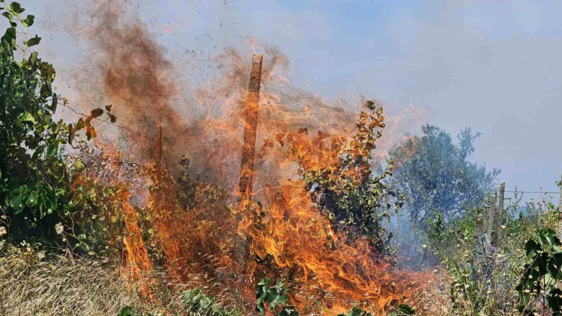 Пожар избухна днес следобед в местността Мумнево край Свиленград Огънят