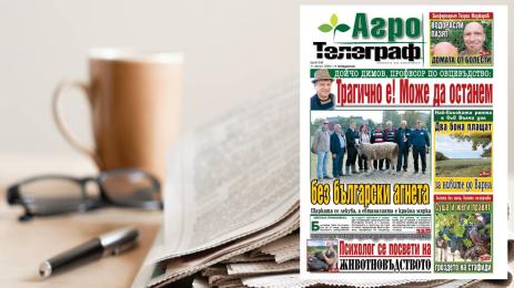 Агро Телеграф