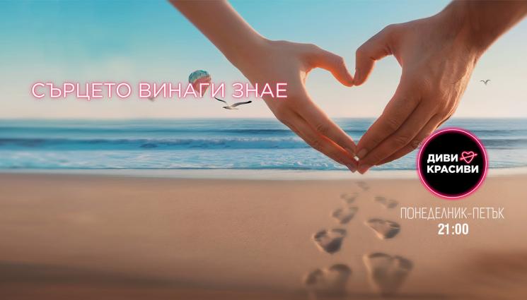 Диви и красиви - „Диви и красиви“ – в търсене на истинската любов!