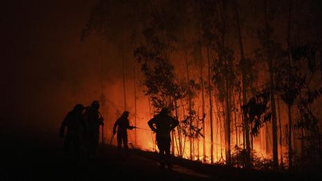 горски пожар испания