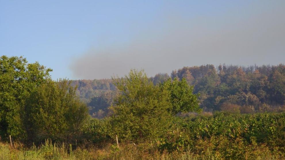 Нови огнища пламнаха в Пирин и край Сандански, а в