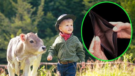 майчинство пари фермери животни