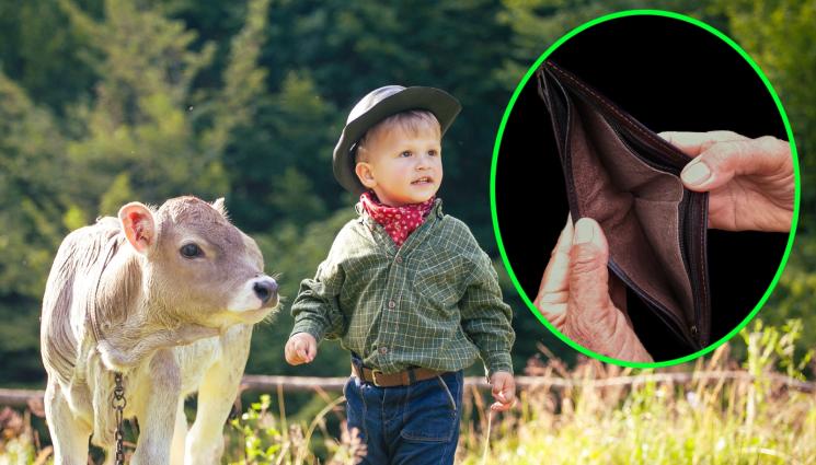 майчинство пари фермери животни - ТЕЛЕТО ИЛИ ДЕТЕТО? Лишават фермерите от майчинство