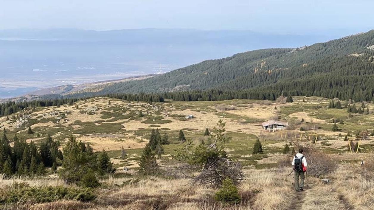 Доброволци се включват в кампанията 
