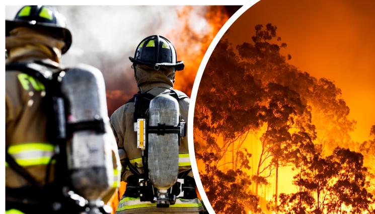 пожар палеж