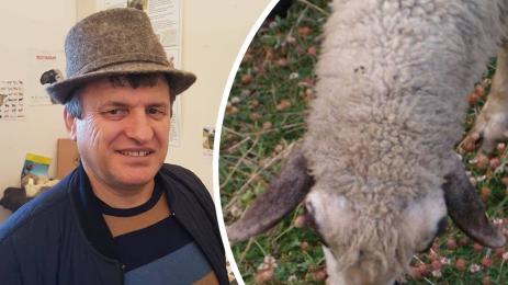 Дойчо Димов