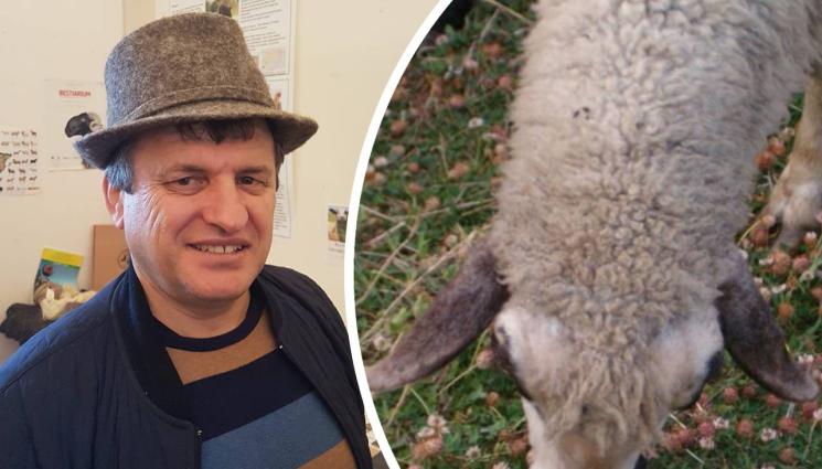 Дойчо Димов - Агро Телеграф: Професорът по овцевъдство Дойчо Димов: Трагично е! Може да останем без български агнета