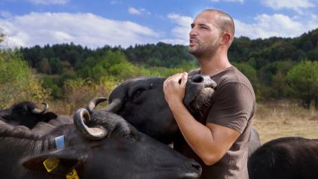 Вълкан Тодоров