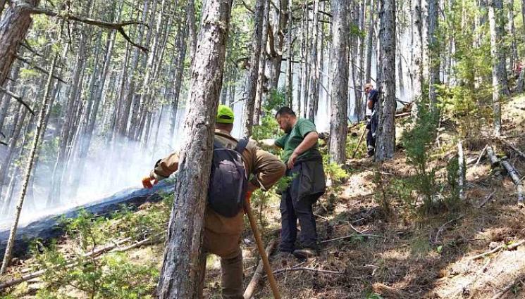 пожар пирин - ПИРИН ПАК ГОРИ: Огънят прескочи в националния парк, върховете пламнаха!