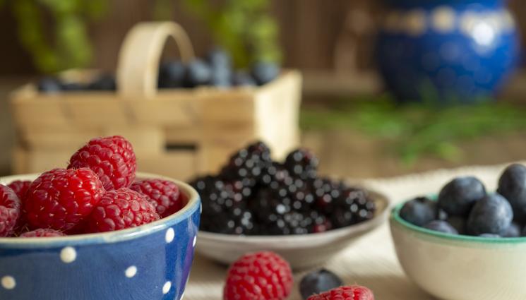 боровинки - ЗДРАВЕ с Телеграф: Яжте авокадо и боровинки при диабет