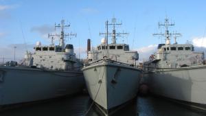 минни ловци