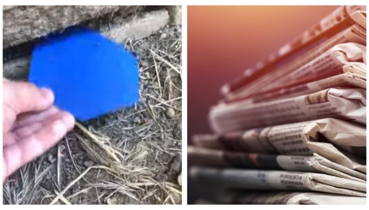 с - Търсене на скрити жетони по паркове и градинки се превръща в новата мания сред тийнейджърите!