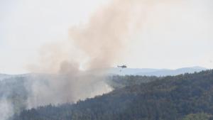 Пожар край Дебелец