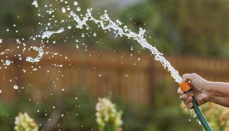 поливане - Агро Телеграф: Поливането пази растенията при слана