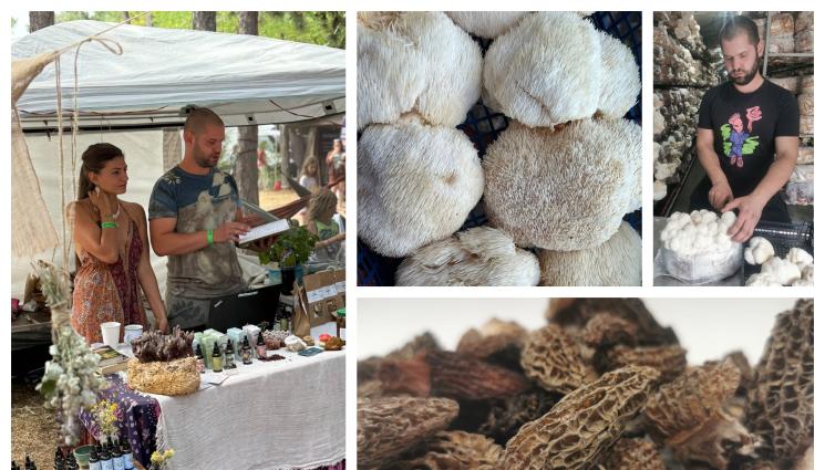 gr - Агро Телеграф: Боби и Алекс отглеждат лъвска грива