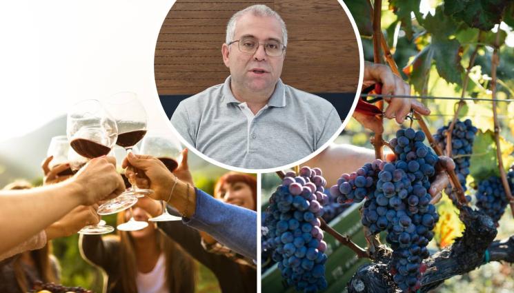 агро телеграф - Агро Телеграф: Гроздето малко, виното по-скъпо!