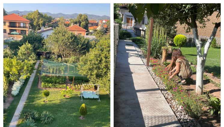 градина - Агро Телеграф: Градина по конец - от Мадрид до село Световрачене!