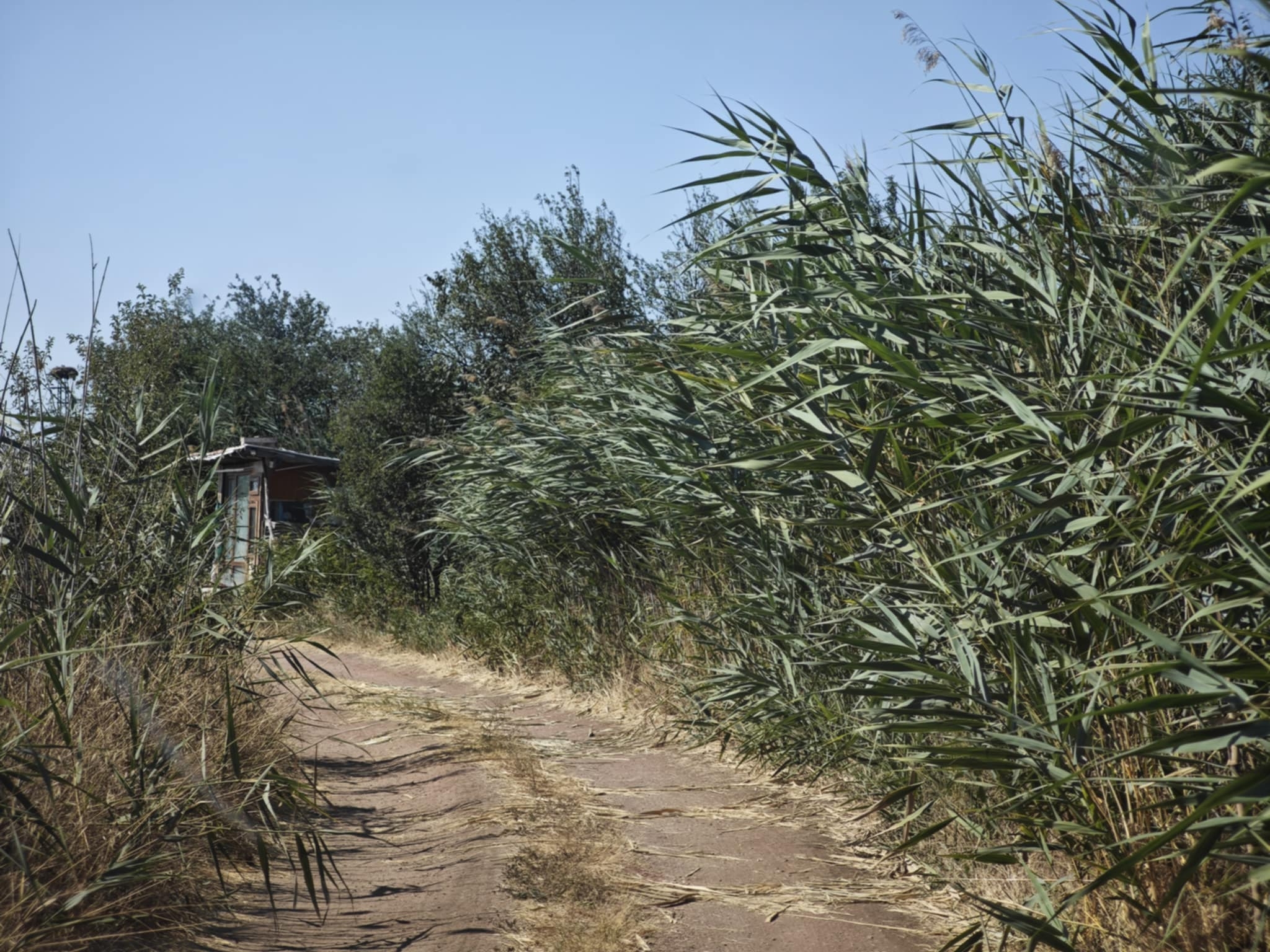 Атанасовското езеро