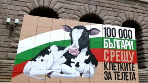 Сдружение Невидими животни подписи телета свободни телета