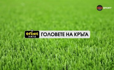 Голът на Димитър Митков за Ботев Пд срещу Берое
