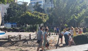 Клон падна върху дете в центъра на Бургас