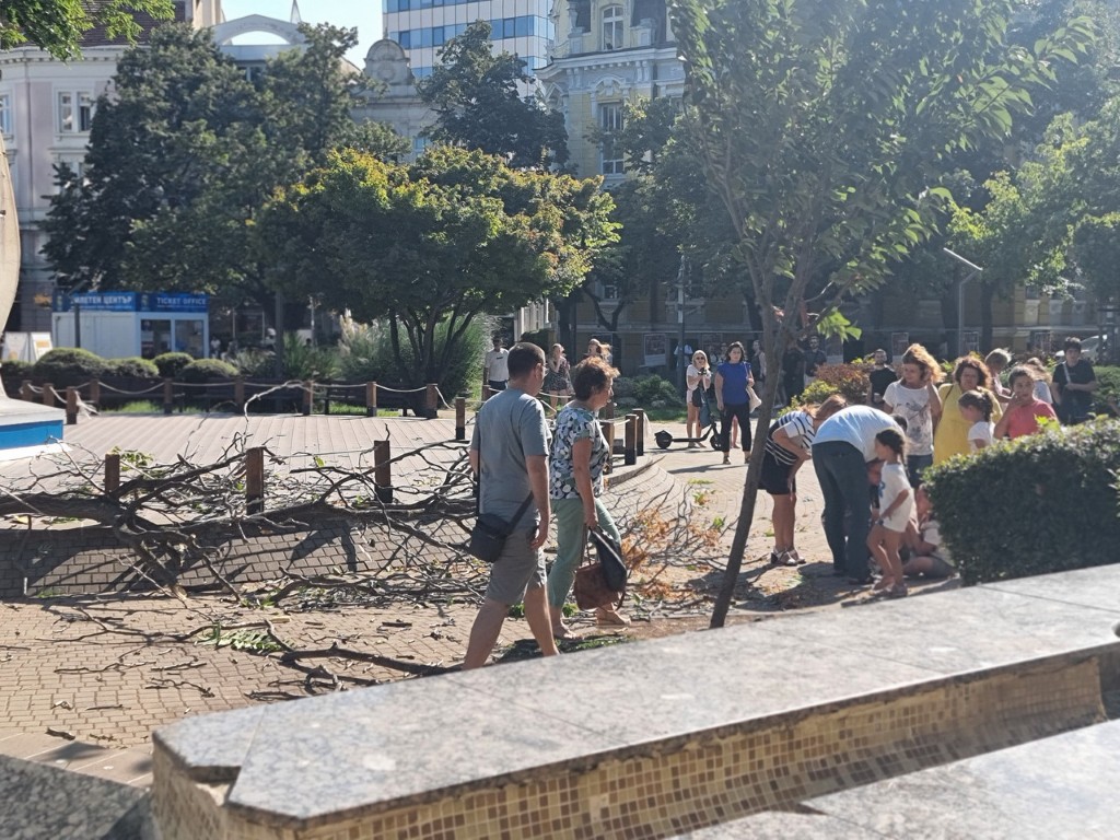 Клон падна върху дете в центъра на Бургас