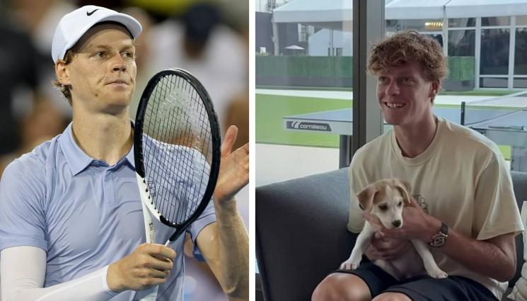 Яник Синер - Кръстиха бездомно кученце на Синер