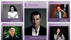 Синелибри