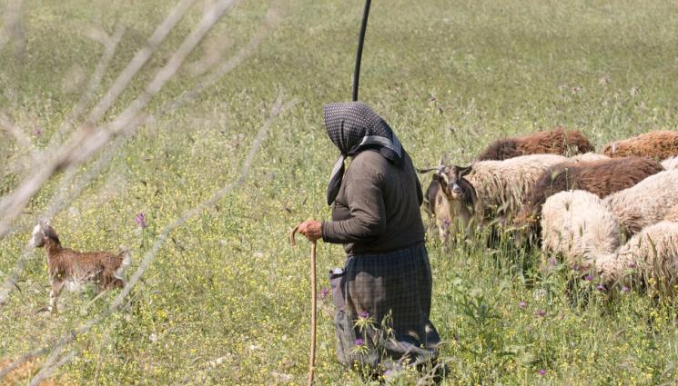 баба - РАЗВРЪЗКА: Откриха изчезналата баба в Средна гора!
