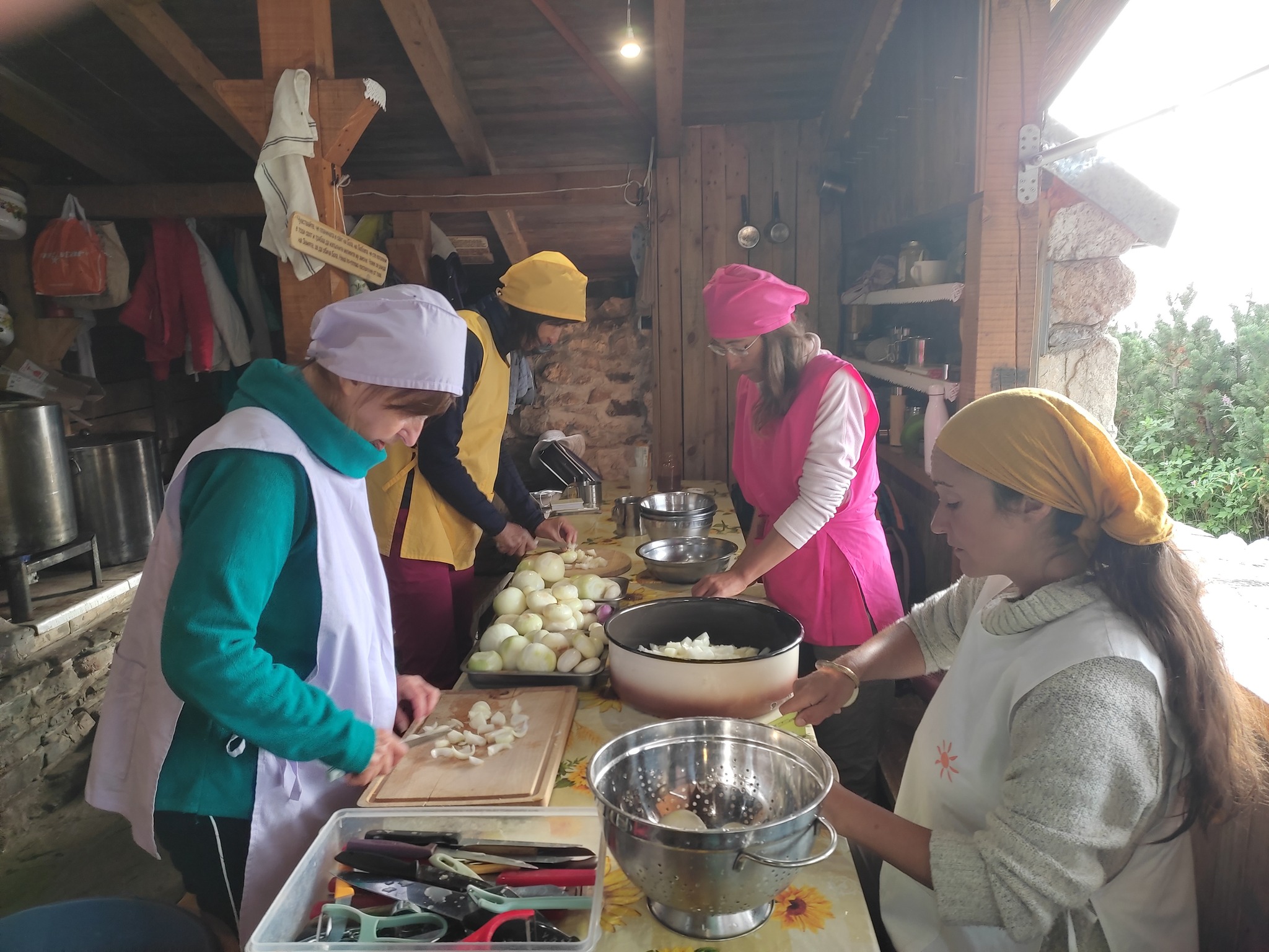 Паневритмия