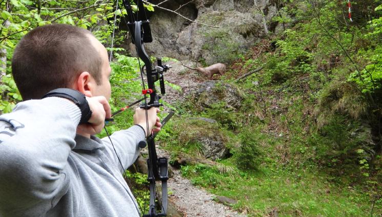 лов с лък - Зелена светлина за лова с лък