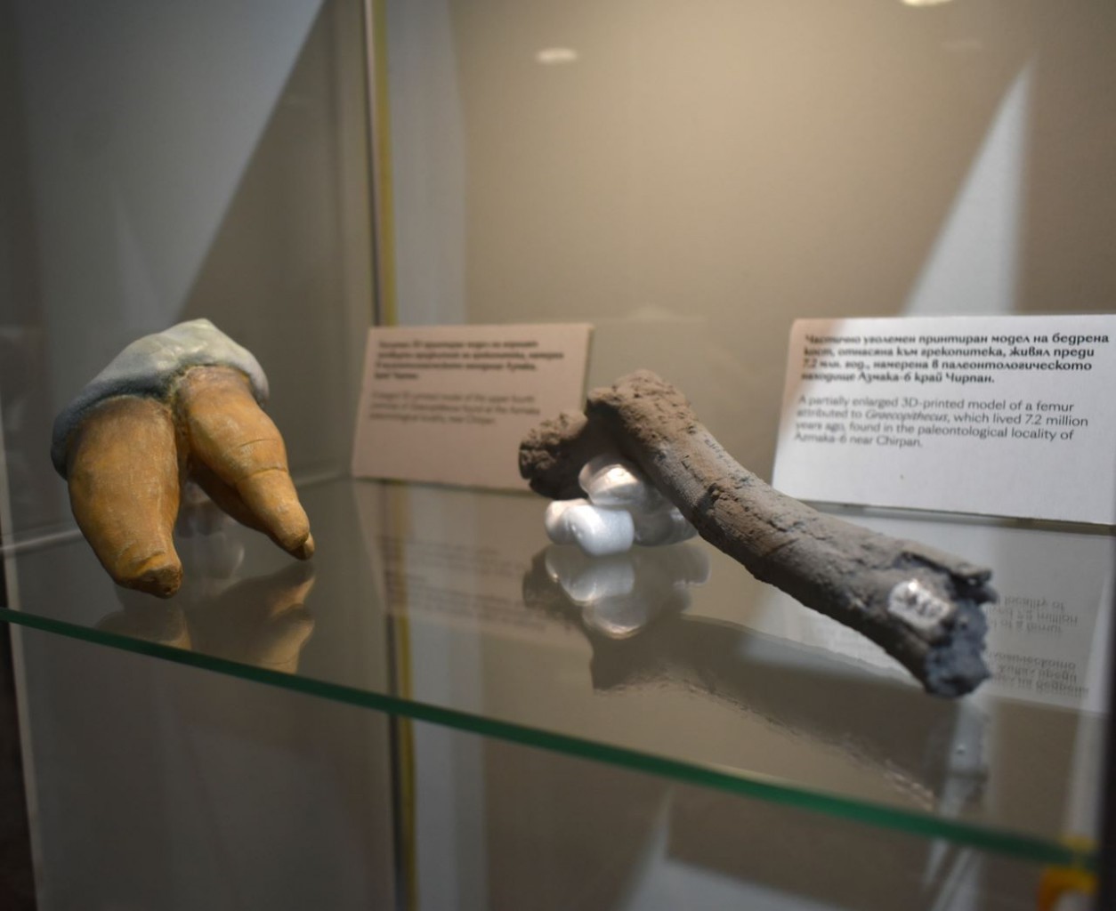 останки от хоминиди