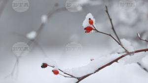 Лятото още не е свършило но в Румъния прехвръкнаха първите