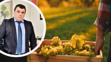 КРАСИМИР КОЕВ