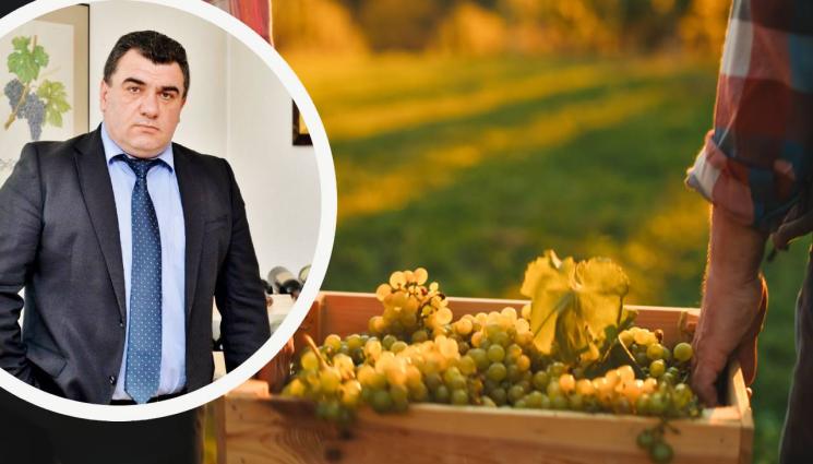 КРАСИМИР КОЕВ - Агро Телеграф: Виното по-малко, но по-хубаво