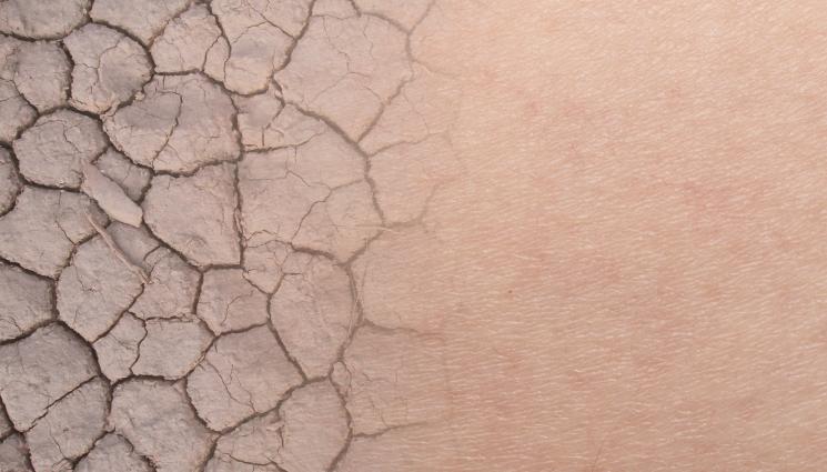 кожа - ЗДРАВЕ с Телеграф: Oтгледаха най-добрия аналог на човешка кожа